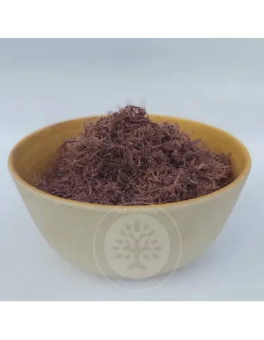 Mimosa Hostilis Root Bark | Natudyes